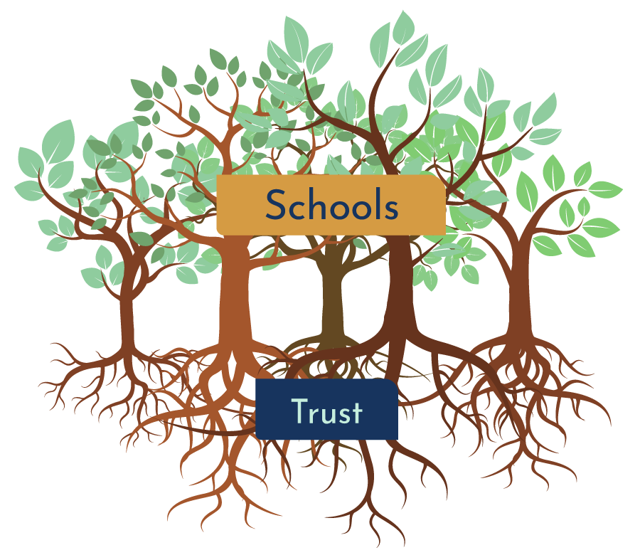 Our schools are the trees & the roots form the Trust